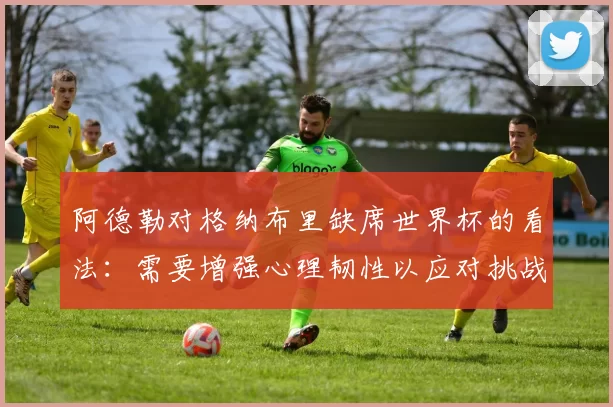 阿德勒对格纳布里缺席世界杯的看法：需要增强心理韧性以应对挑战