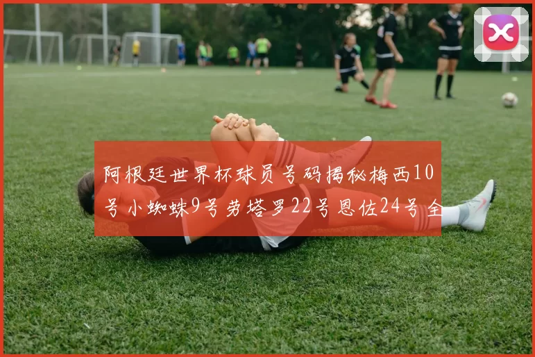 阿根廷世界杯球员号码揭秘梅西10号小蜘蛛9号劳塔罗22号恩佐24号全解析