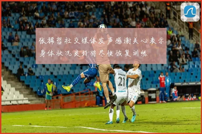 张稀哲社交媒体发声感谢关心表示身体状况良好将尽快恢复训练