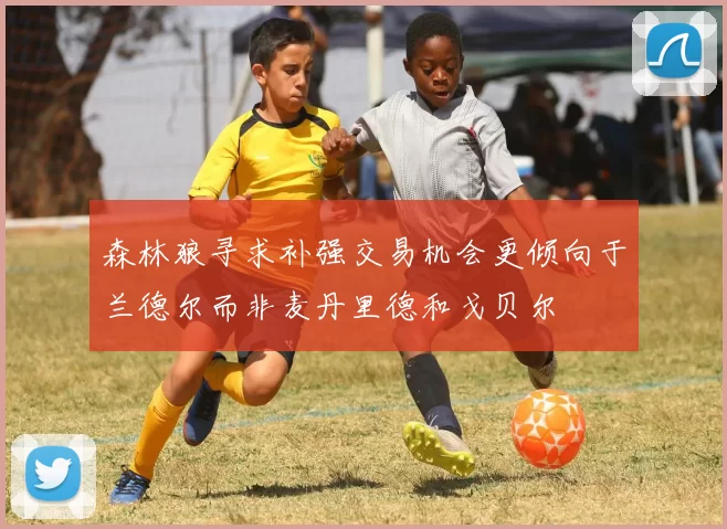 森林狼寻求补强交易机会更倾向于兰德尔而非麦丹里德和戈贝尔